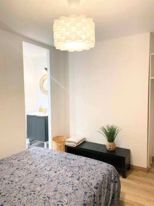 Apartament / Cocon \ Paisible Hyper Centre Rodez Zewnętrze zdjęcie